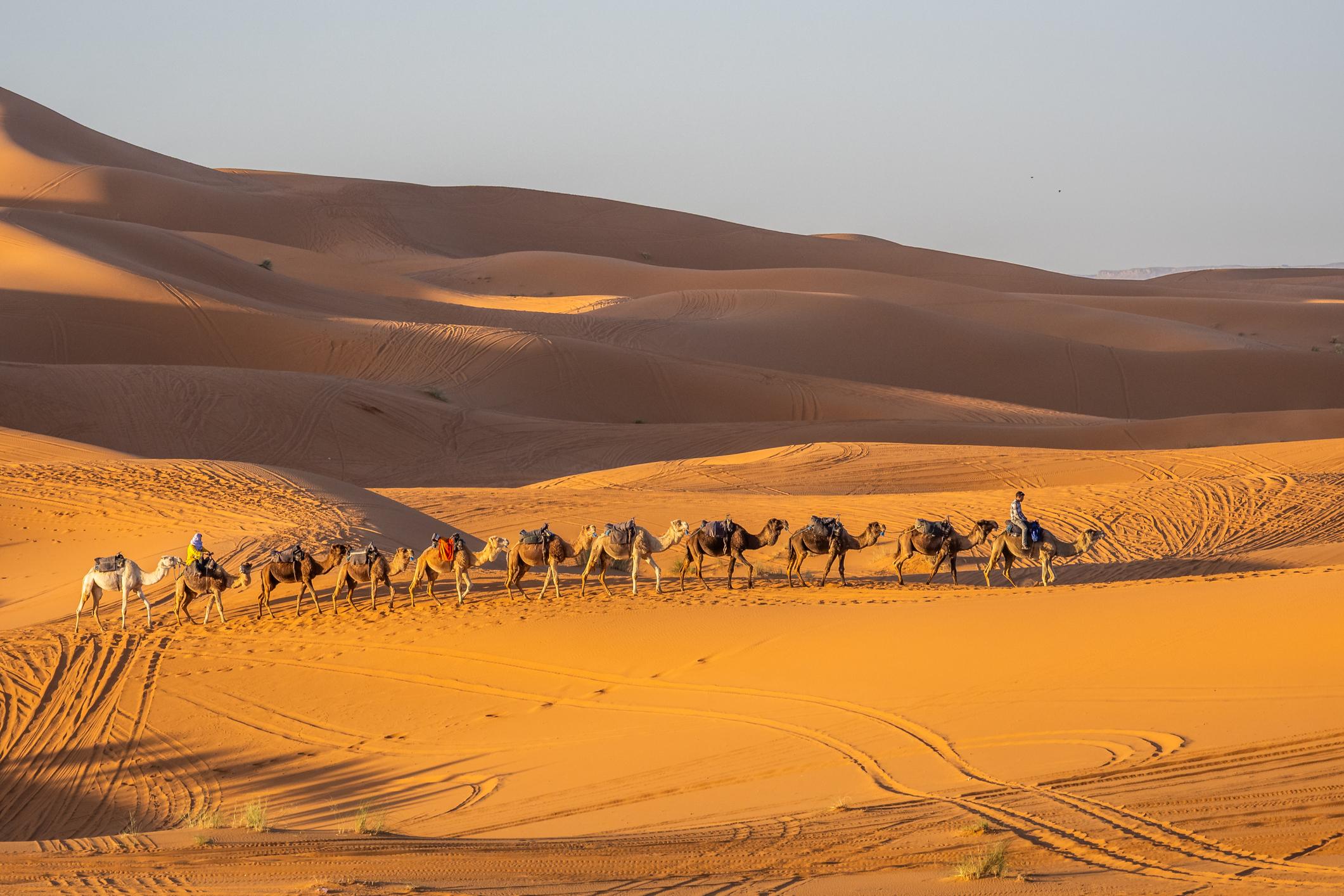 9-Day Marrakech to Sahara, Fes & Chefchaouen Private Tour